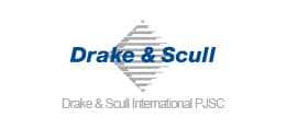 DSI logo